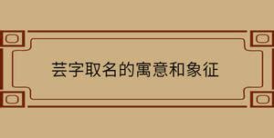 芸 名字 意思|芸字取名的寓意和象征，带芸字的好听的名字